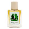 Aromas de Salazar Blueberry Morning (U) 1.7 Oz