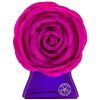 Bond No. 9 Spring Fling (L) EDP 3.4 Oz